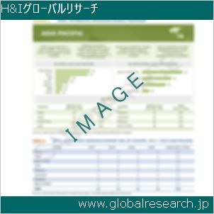 グローバルリサーチ調査レポートのイメージ